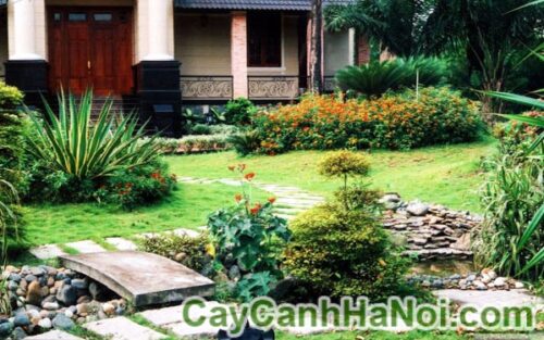 TRỒNG CÂY XANH NHƯ THẾ NÀO CHO HỢP VỚI PHONG THỦY