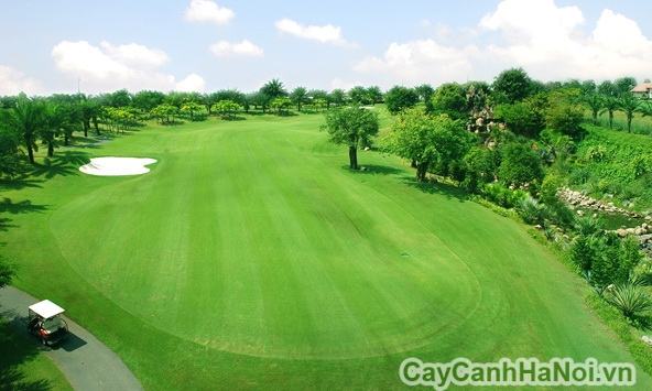 Cảnh quan sân golf