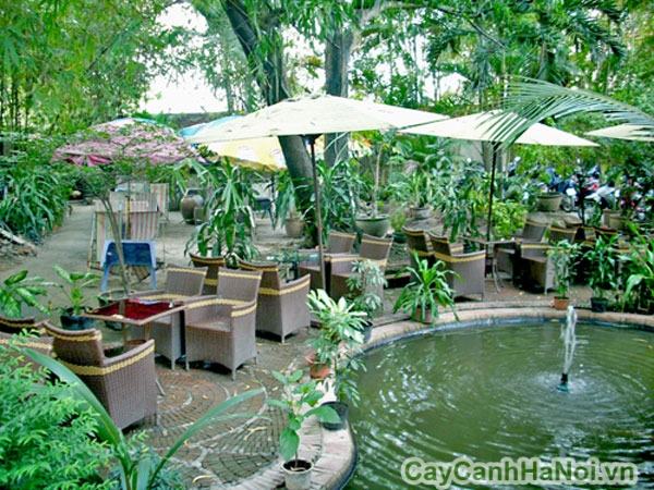 Cảnh quan cafe sân vườn