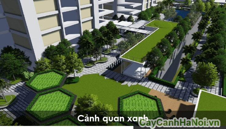 Vườn cây trên mái bằng