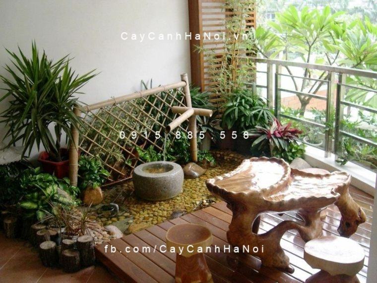 thiết kế thi công tiểu cảnh