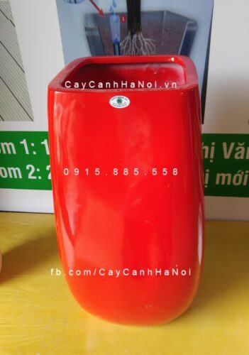 Chậu cây cảnh composite iPot lạ mắt| IP-00098