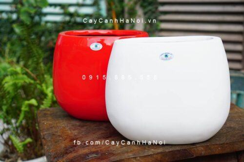 Chậu cây composite iPot oval cao cấp| IP-00056