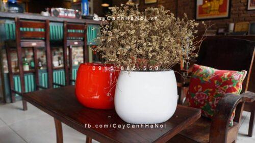 Chậu nhựa composite iPot oval cao cấp| IP-00054