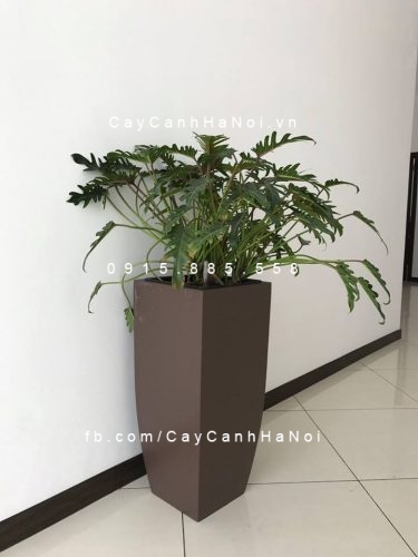 Chậu trồng cây composite iPot sang trọng| IP-00180