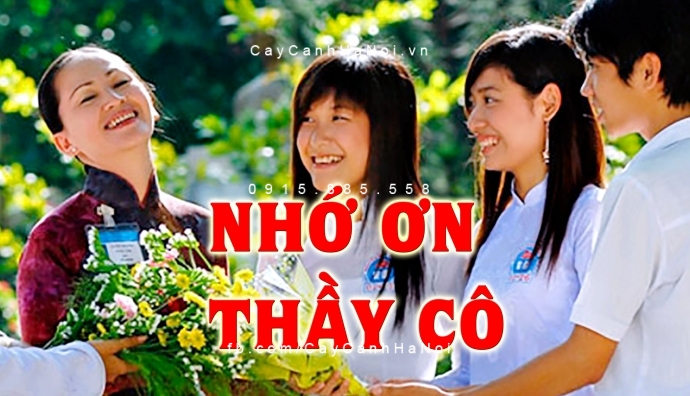 hoa canh tang thay co 20-11 1