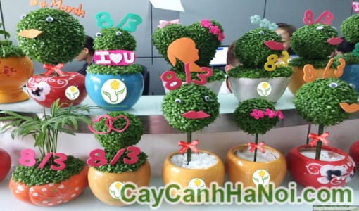 Cây May Mắn Quà Tặng Quốc Tế Phụ Nữ 02