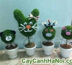 Cây May Mắn Quả Cầu Con Cừu