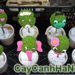 Cây May Mắn Quả Cầu Tỏ Tình