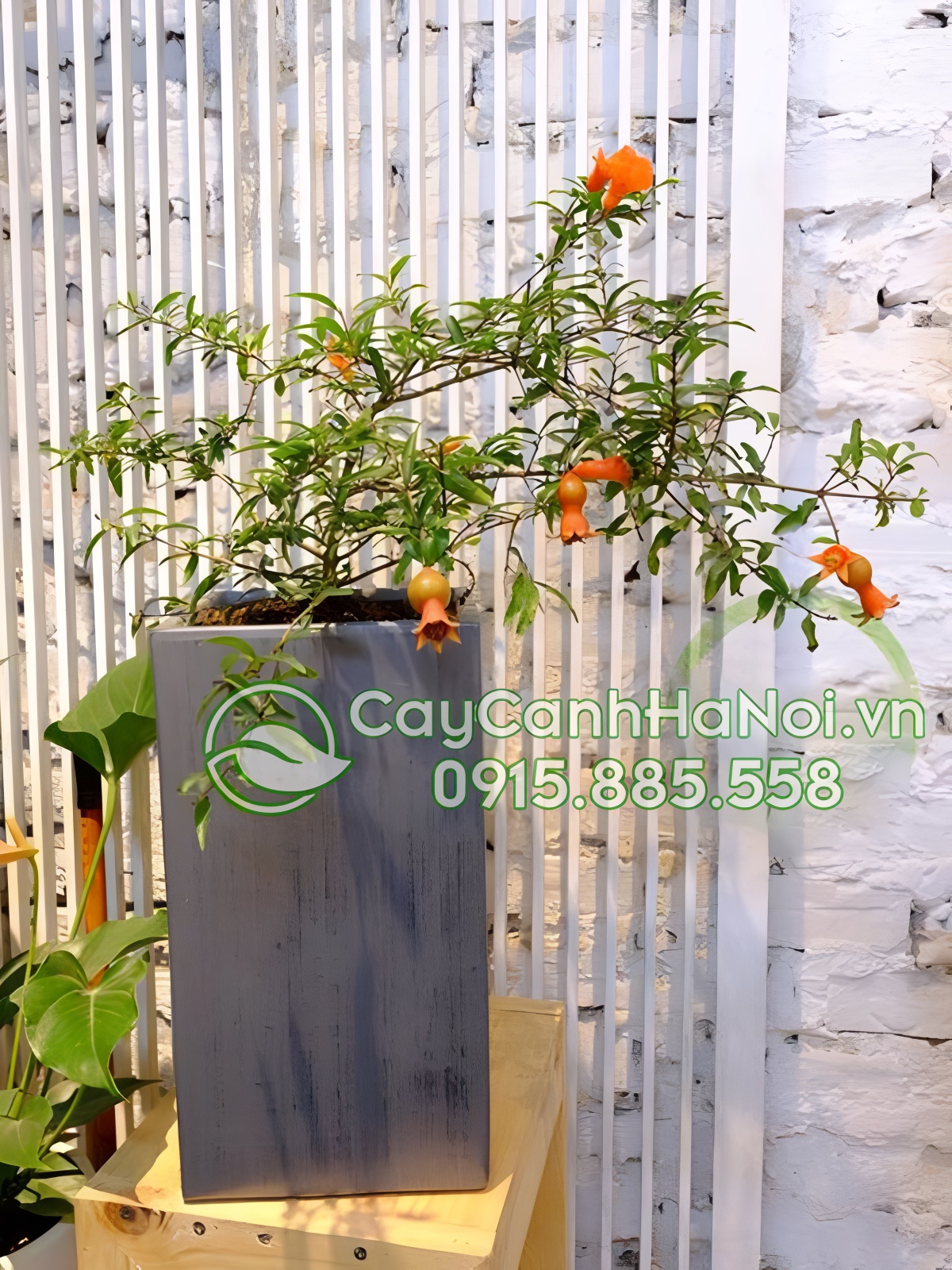 Những quả lựu đỏ căng mọng, trĩu cành tượng trưng cho tài lộc sinh sôi nảy nở