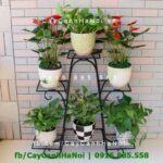 Kệ sắt nhiều tầng phong cách cổ điển