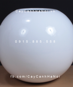 Chậu Composite Anber tròn trồng cây cao cấp | SE8889 (Trắng bóng)