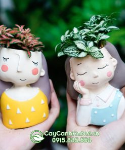 Cây lá may mắn trồng chậu cô gái dễ thương