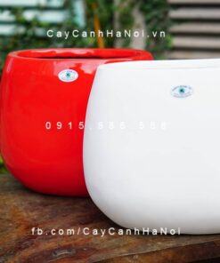 Chậu cây composite iPot oval cao cấp| IP-00056