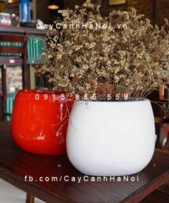 Chậu nhựa composite iPot oval cao cấp| IP-00054