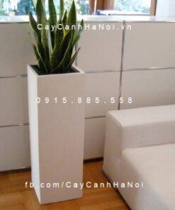 Chậu nhựa composite iPot trồng cây cao cấp | IP-00177