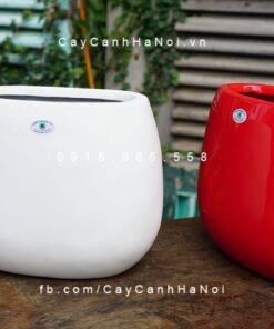 Chậu trồng cây composite iPot oval| IP-00057