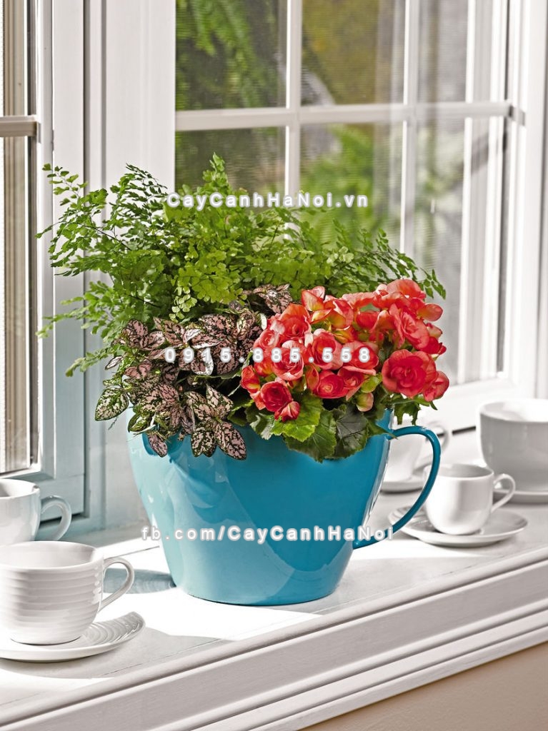 Chậu composite hình khối lạ mắt dùng trang trí không gian