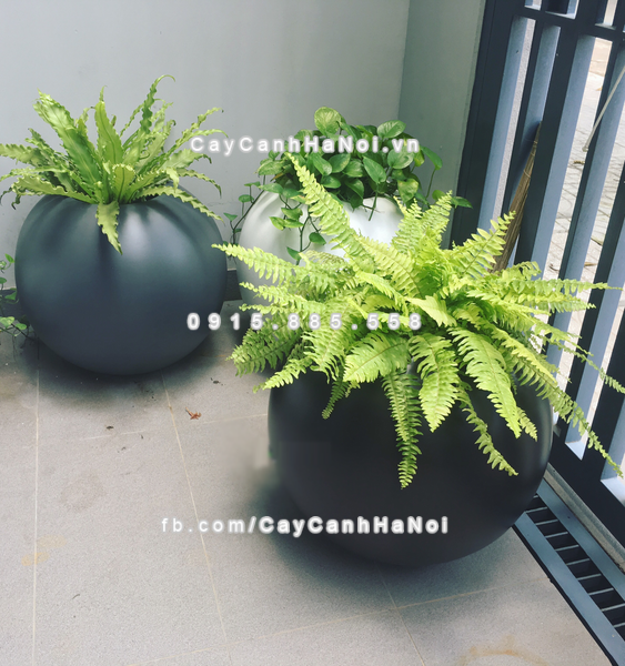 Mẫu chậu composite nghệ thuật đặt ngoài ban công