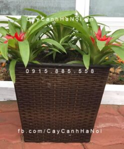 Chậu composite iPot tự tưới đan sợi Rattan vuông| HTTT-07