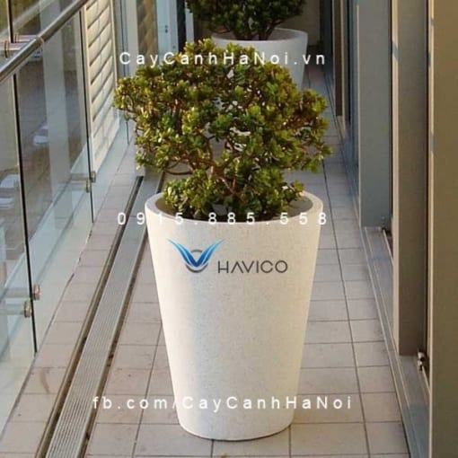 Chậu đá mài Pack Havico tròn cao vát đáy CM-258