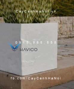 Chậu cây cảnh composite Havico vuông| HVC-00022