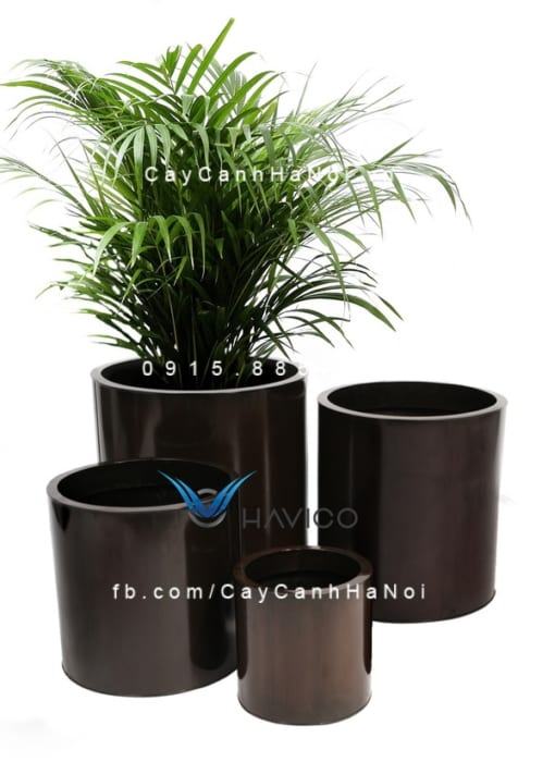 Chậu nhựa composite Havico Leno cao cấp| CB-319