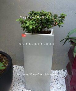 Chậu nhựa trồng cây composite Havico Lazy| HVC-00038