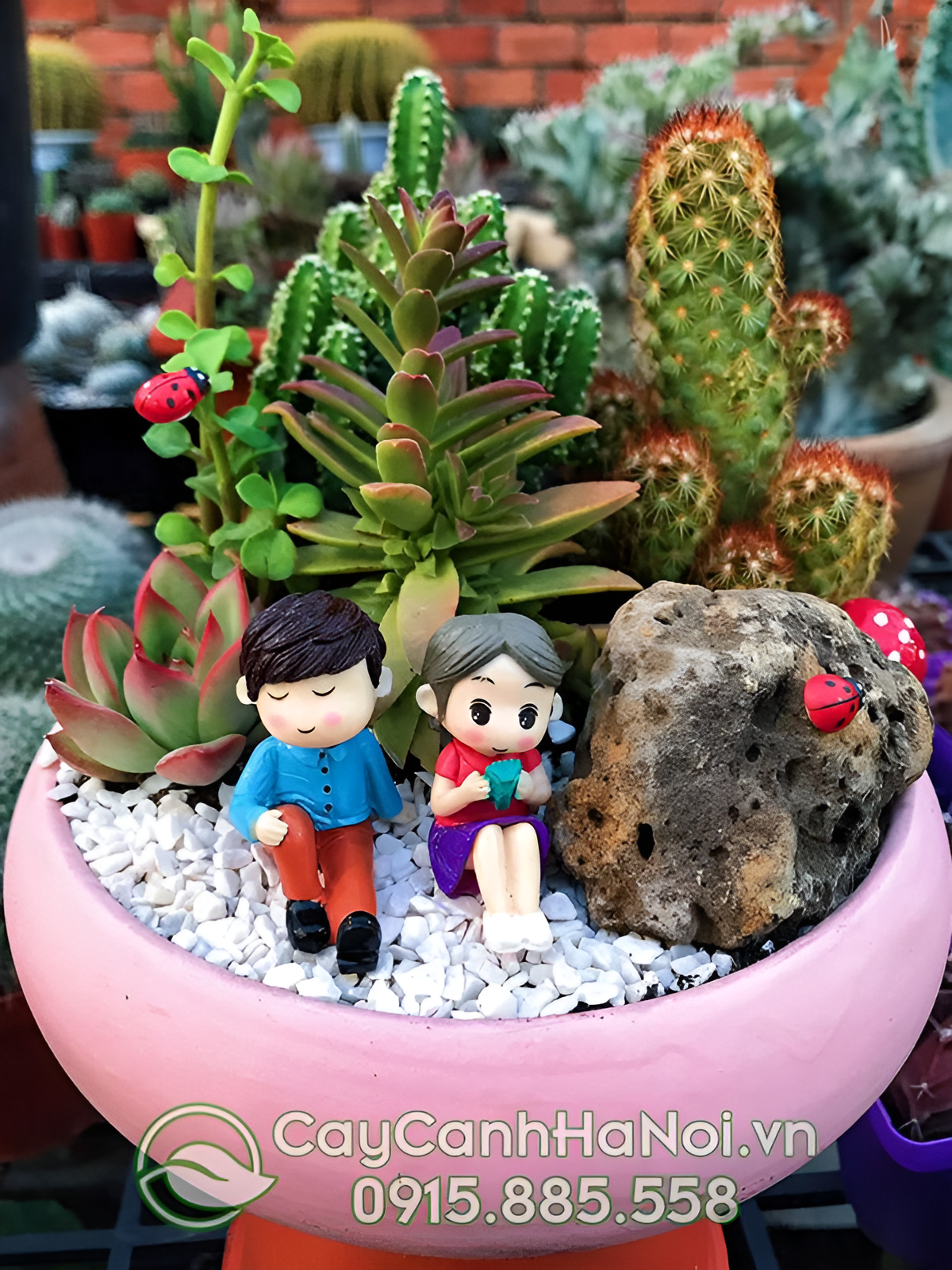 Chậu cây mini theo phong cách Hàn với tông màu pastel nhẹ