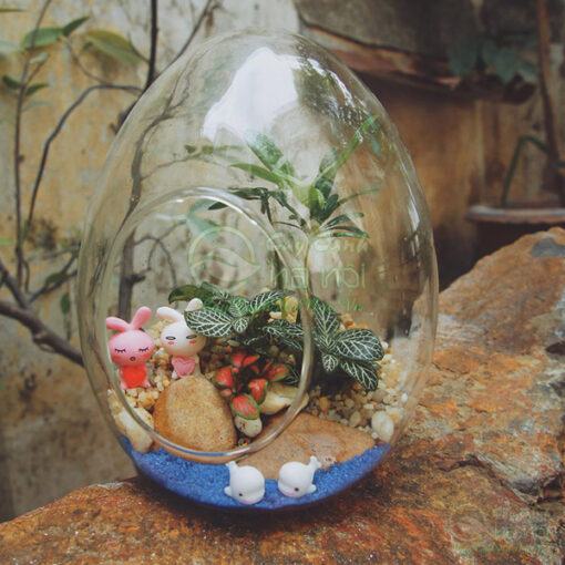 Tiểu cảnh Terrarium mang đến nhiều điều may mắn