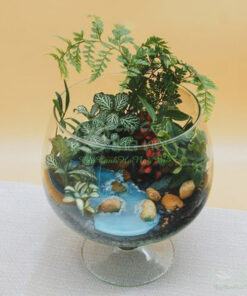 Cách tạo ra tiểu cảnh terrarium