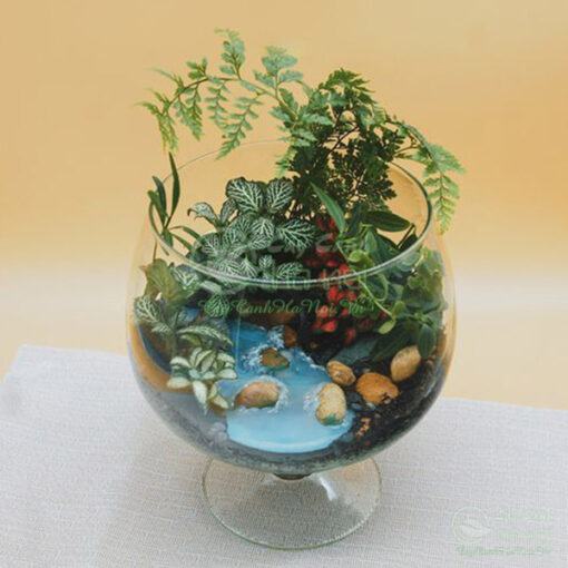 Cách tạo ra tiểu cảnh terrarium