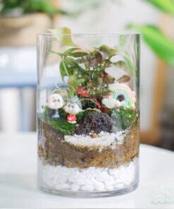 Nơi bán các mẫu tiểu cảnh mini Terrarium đẹp gái rẻ tại Hà Nội