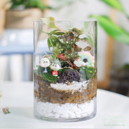 Nơi bán các mẫu tiểu cảnh mini Terrarium đẹp gái rẻ tại Hà Nội