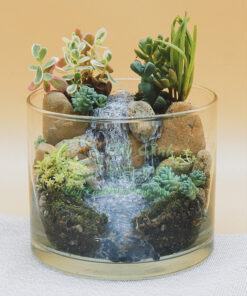 Ý nghĩa của tiểu cảnh mini terrarium