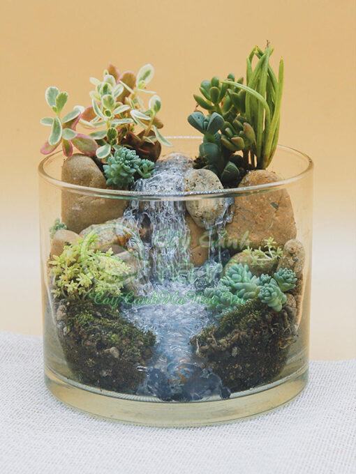 Ý nghĩa của tiểu cảnh mini terrarium