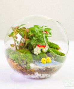 Tiểu cảnh terrarium trang trí bàn làm việc đẹp