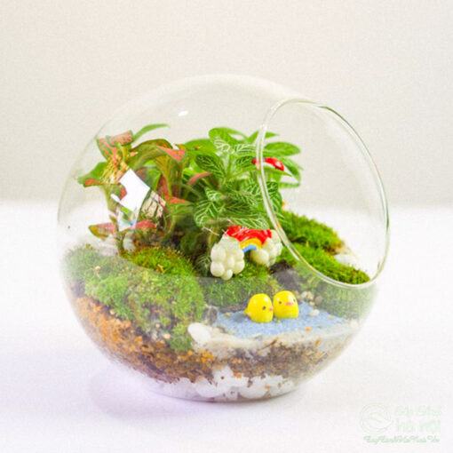 Tiểu cảnh terrarium trang trí bàn làm việc đẹp