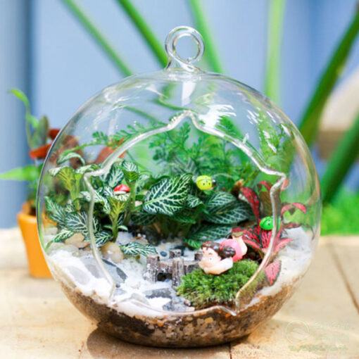 Cách thực hiện làm chậu tiểu cảnh terrarium