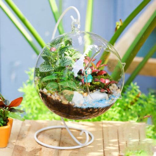 Terrarium chăm sóc để tươi lâu