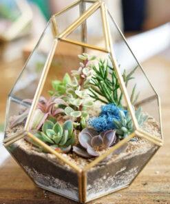 Tiểu cảnh terrarium shop Cây Cảnh Hà Nội bán giá rẻ