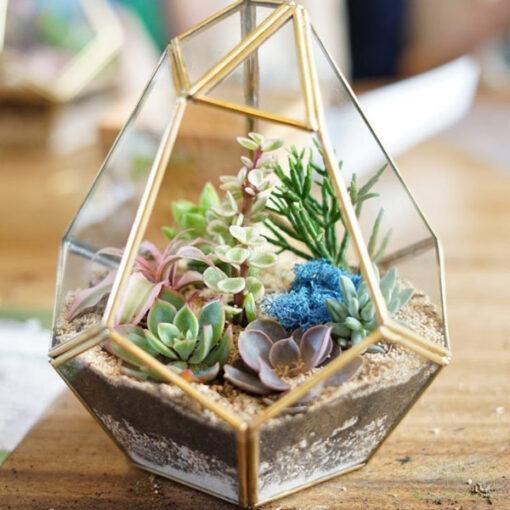 Tiểu cảnh terrarium shop Cây Cảnh Hà Nội bán giá rẻ