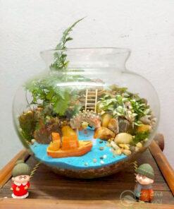 Tiểu cảnh terrarium đẹp ý nghĩa