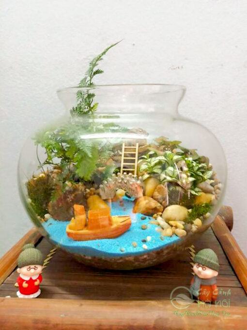 Tiểu cảnh terrarium đẹp ý nghĩa