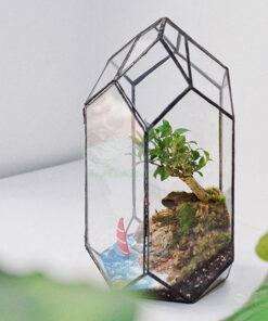 Terrarium đa giác đẹp làm quà tặng