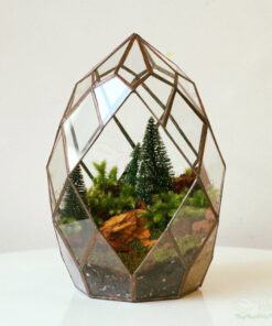 Terrarium chậu thủy tinh đa giác