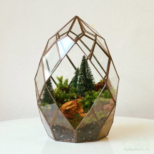 Terrarium chậu thủy tinh đa giác