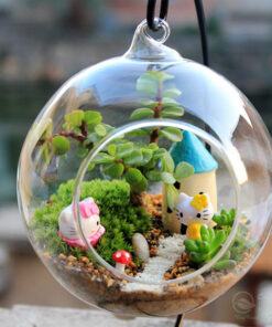 Terrarium trồng chậu thủy tinh hình cầu treo