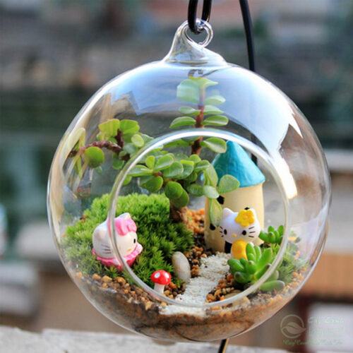 Terrarium trồng chậu thủy tinh hình cầu treo