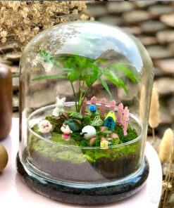 Terrarium kín decor quán cà phê